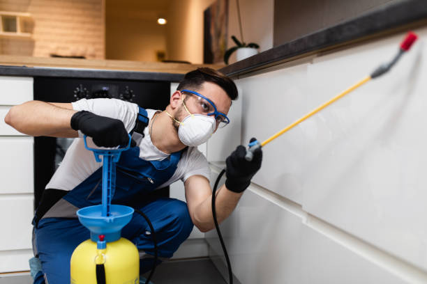 Best Emergency Pest Control  in , VT