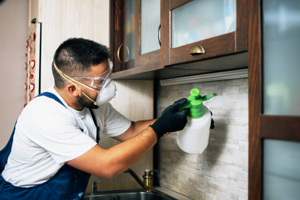 Best Cockroach Control Services  in , VT