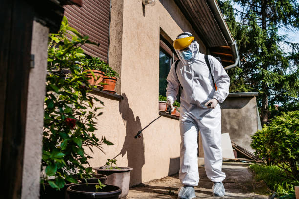 Best Pest Removal Services  in , VT