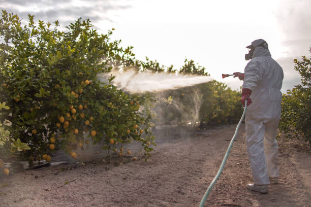 Best Bed Bug Extermination  in , VT