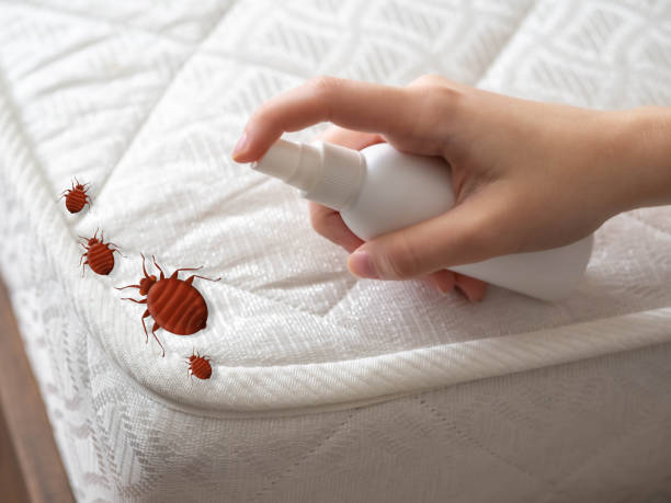 Best Pest Inspection Near Me  in , VT