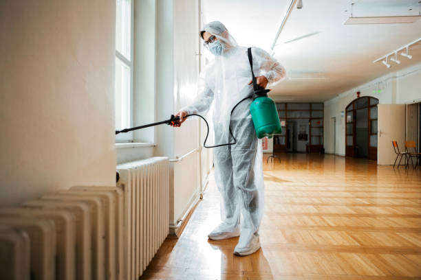 Best Mosquito Control Services  in , VT
