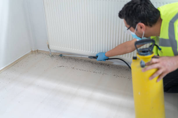 Best Local Pest Control Services  in , VT