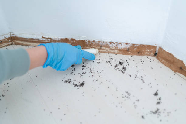 Best Residential Pest Control  in , VT
