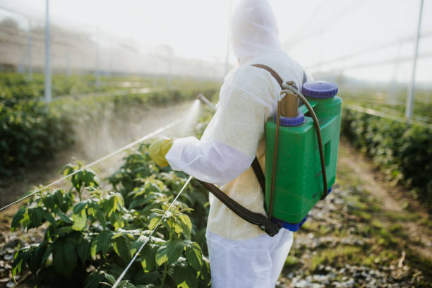  , VT Pest Control Pros